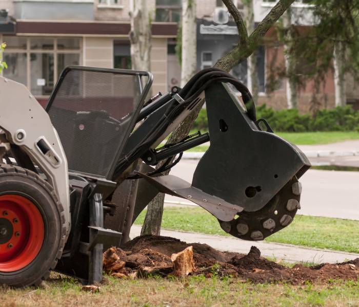 a machine completing stump removal pittsburgh