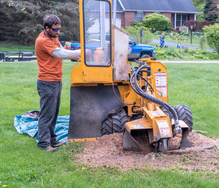 stump grinder pittsburgh